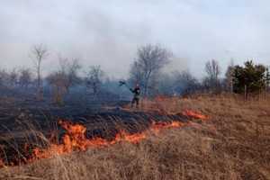 В Черниговской области избили двух спасателей, которые тушили сухую траву