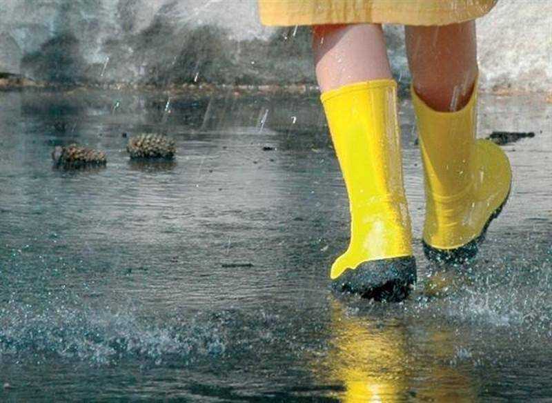 Сегодня в Украине дожди