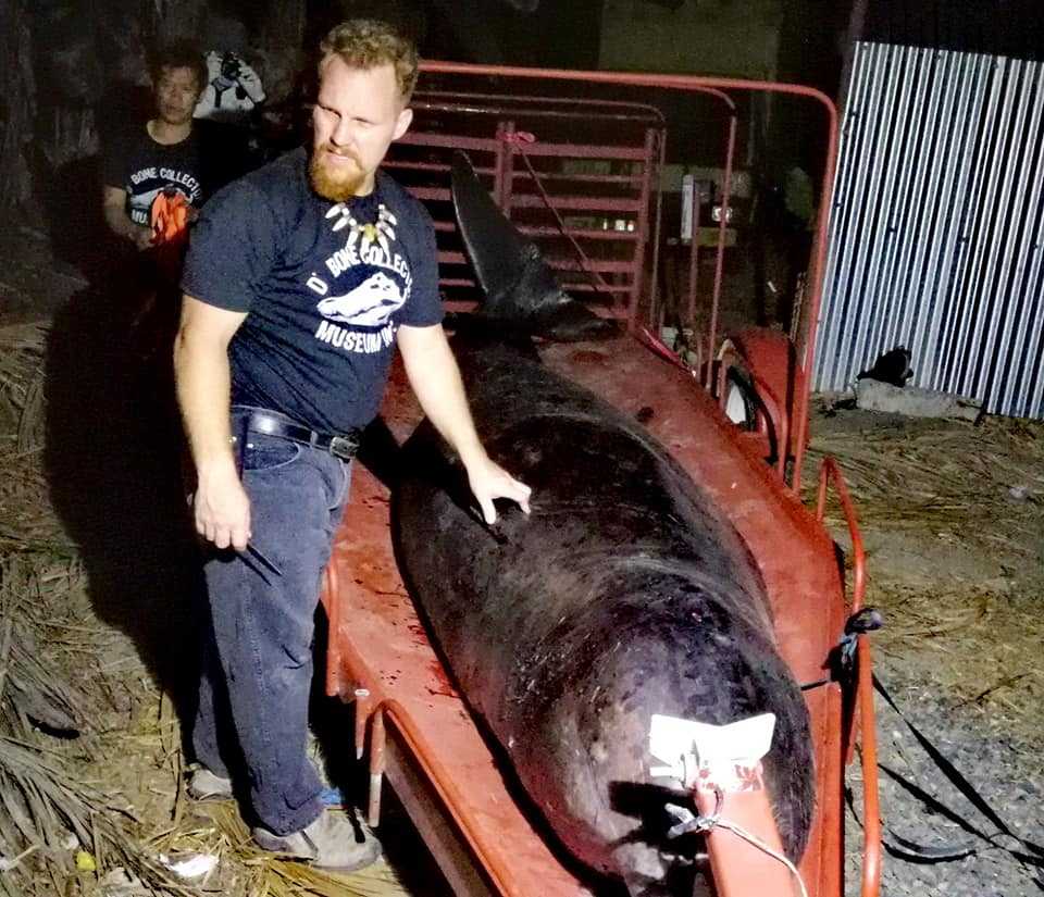 В желудке умершего кита нашли 40 кг пластика