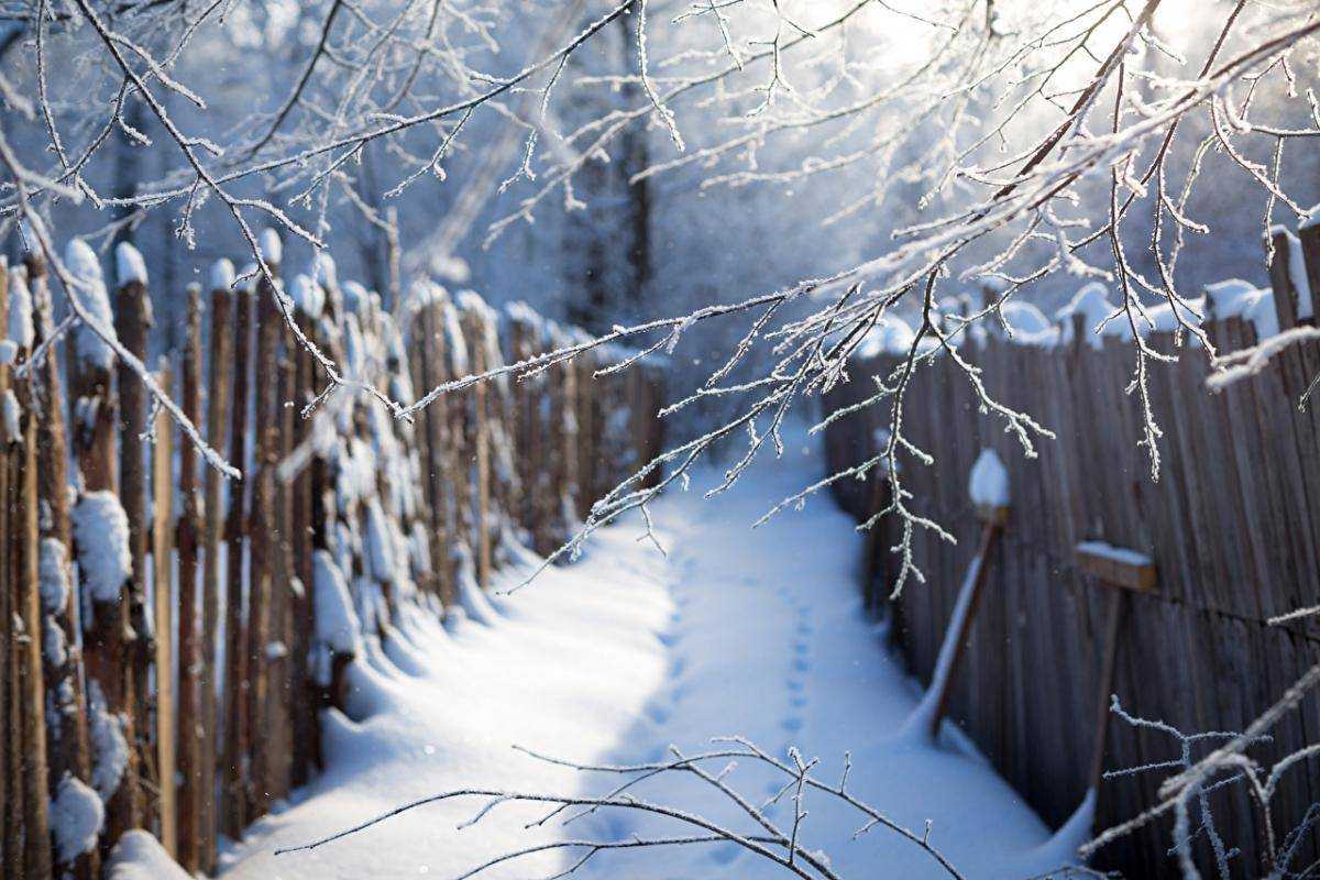 Зима к Новому году: синоптик рассказал, какой ждать погоды в декабре