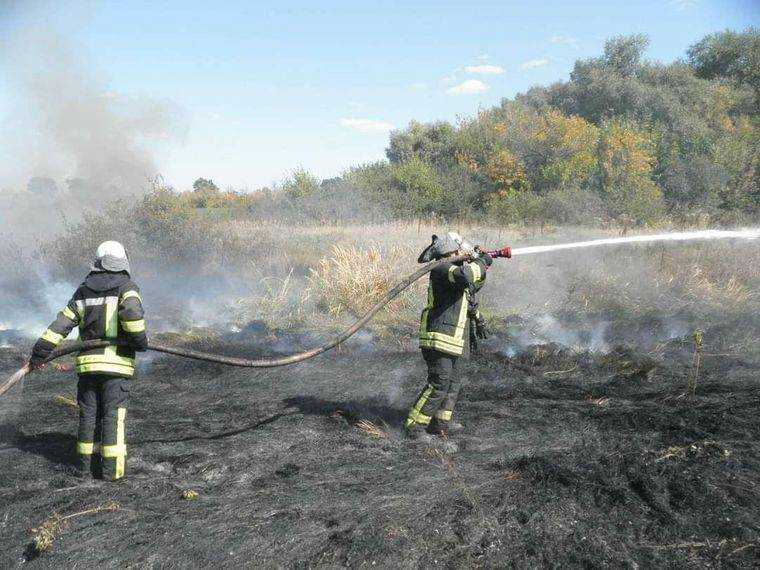 Пожары на Луганщине не потушили: спасатели назвали масштабы катастрофы