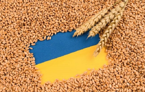 Украинское зерно существенно не влияет на цены в соседних государствах - Шмыгаль