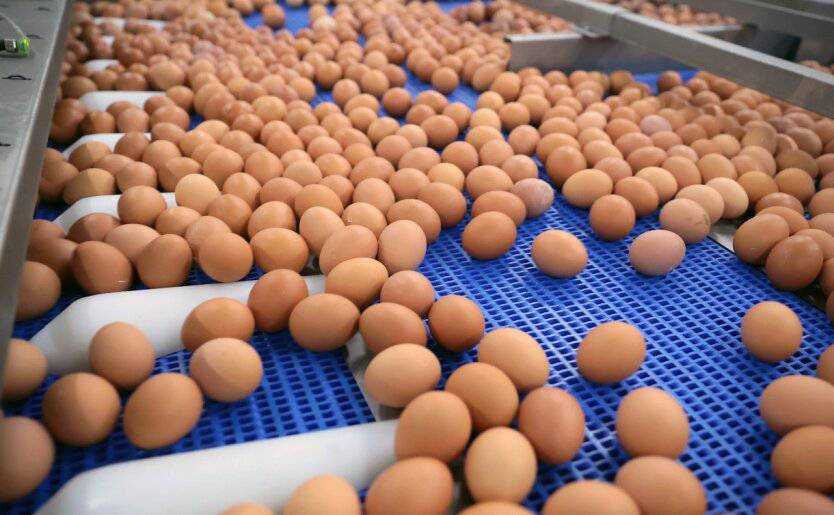 В Україні знову підвищилися ціни на яйця та соняшникову олію