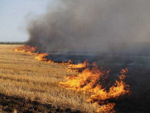 Под Харьковом от пожара спасли 23 га зерна