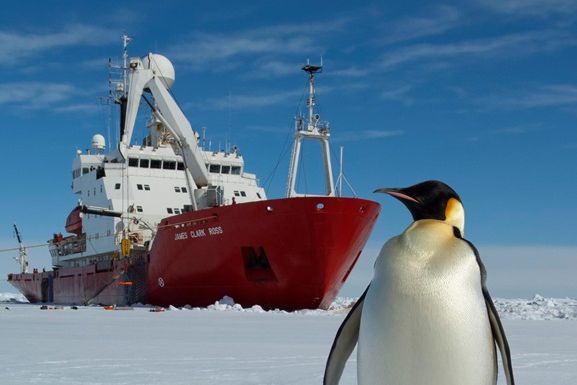 Австралия отправила в Антарктиду ледокол ради эвакуации больного ученого - BBC