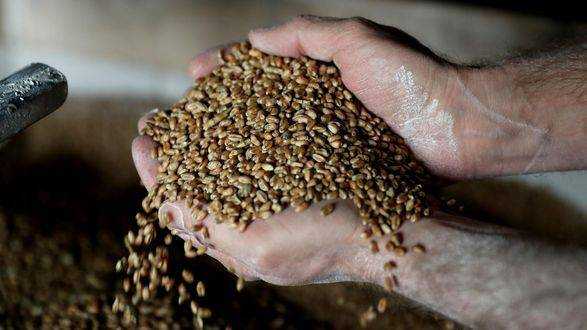 Кулеба розповів, як Україна блокує продаж рф краденого зерна