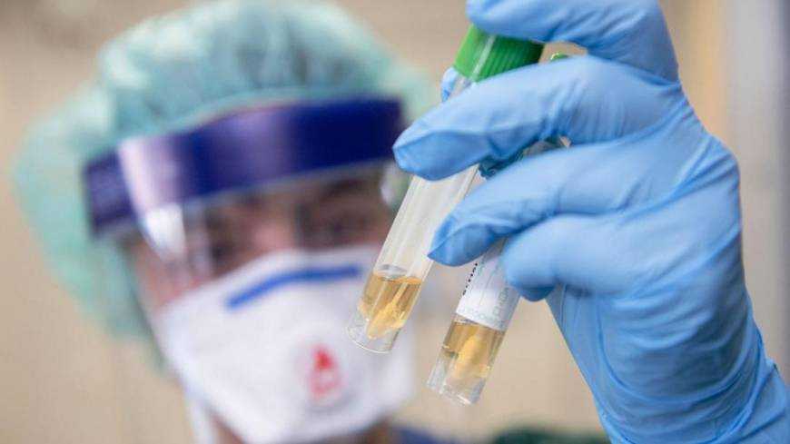 Конец непредсказуем: ученые заявили о главной опасности коронавируса-мутанта