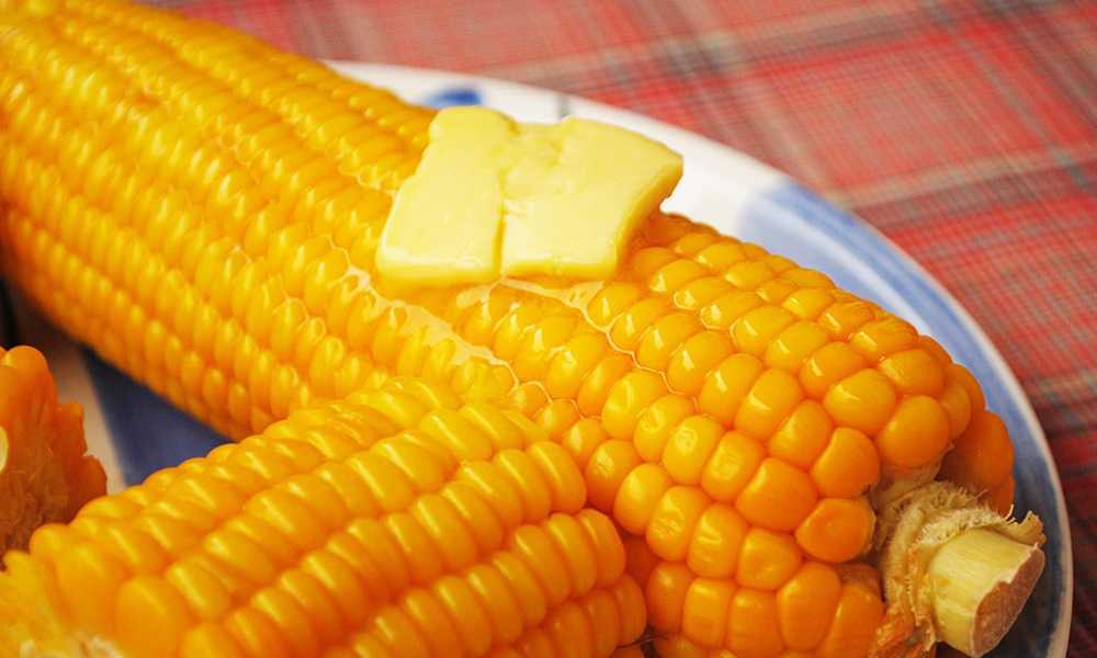 Малоизвестные факты о кукурузе, о которых надо знать