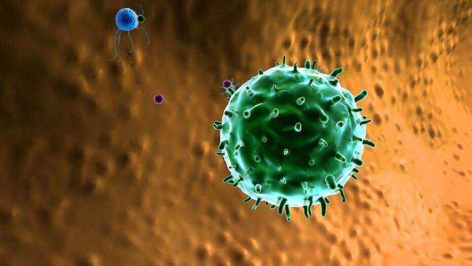 Ученые узнали, где впервые в мире человек повторно заразился коронавирусом