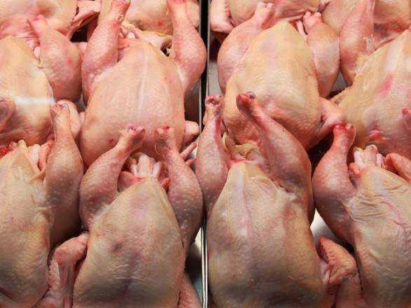 Эксперты отметили активность украинских производителей курятины на мировых рынках