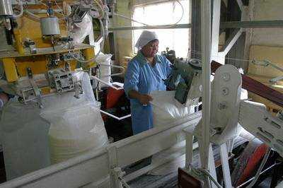 Украина увеличила производство сахара в 6 раз - до 419 тыс. тонн – Минагропрод