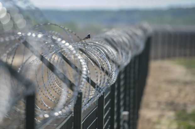 Проект "Стена": как происходят работы по укреплению государственной границы