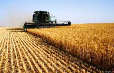 Яценюк: Украина готова поставлять зерновые и масло в Турцию