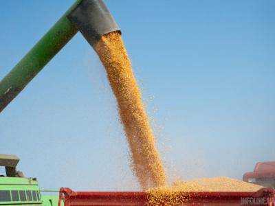 Аграрии намолотили более 22 млн тонн кукурузы
