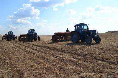 Сельхозпроизводители на сегодня уже посеяли озимых зерновых культур на площади 6,7 млн га