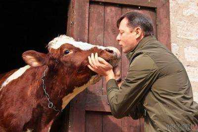 Ляшко рассказал, почему с коровой целоваться приятней, чем с депутатом