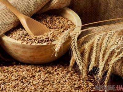 Компании Украины экспортировали почти 36,5 млн тонн зерна