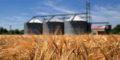 Украина изучает возможности расширения экспорта украинской аграрной продукции в Индонезию