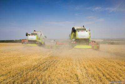 В Запорожской области начали собирать урожай зерновых культур