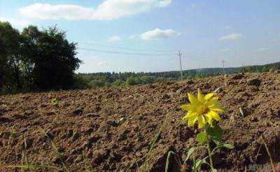 В Ровенской области прокуратура вернула государству земельные участки стоимостью более 4,3 млн грн