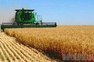 Уборка ранних зерновых завершилась в 7 областях Украины