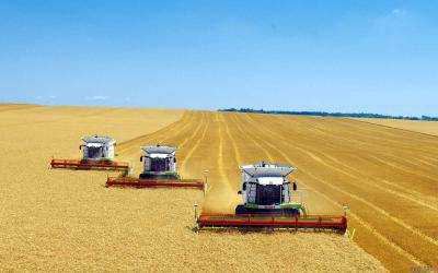 С начала года Украина экспортировала пшеницы на 1,1 млрд. долл.