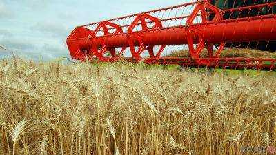 Аграрии намолотили 38 млн тонн зерна