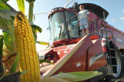 Украинские аграрии начали уборку кукурузы