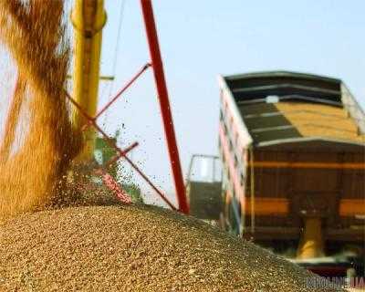 В Министерстве аграрной политики и промышленности рассчитывают на рекордный урожай зерновых в текущем году