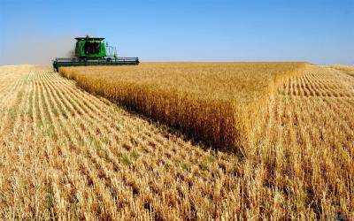Украина и Турция будут сотрудничать в аграрной сфере