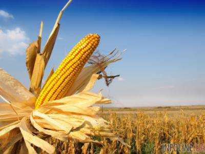Украинские производители сельскохозяйственных товаров получат дополнительные квоты на кукурузу, пшеницу, мед, крупы, томаты