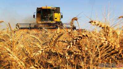 Кировоградская область собрала почти 3,5 млн. тонн зерновых культур