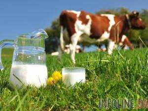 В Украине в январе-октябре 2016 г. производство молока уменьшилось