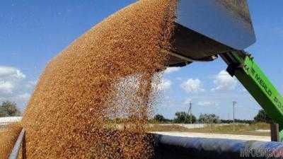 Экспорт зерна в 2016/2017 МГ может составить 41,6 млн тонн - Минагрополитики