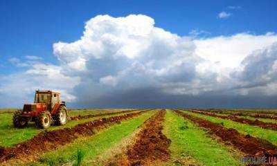Аграрные расписки позволили сельхозпроизводителям привлечь около 428 млн грн.