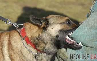 По факту смерти человека от укусов собак в Херсонской области открыли уголовное дело
