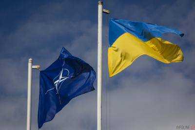 Агрессивная политика Кремля против Украины "пробудила" НАТО - И.Климпуш-Цинцадзе