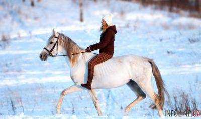 В России обрушился конный клуб