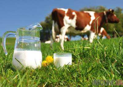 Названы главные импортеры украинского молока