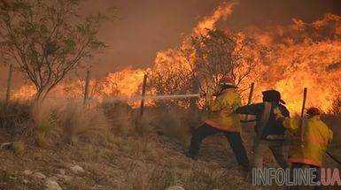 Более миллиона гектаров степей выгорели вследствие масштабных пожаров в Аргентине