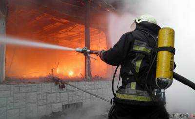 С начала года на пожарах в Украине погибли более 260 человек