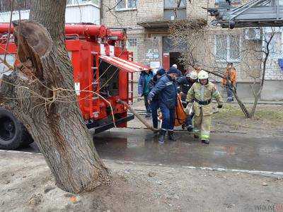 В Николаеве наградили пожарного, который спас женщину, выпавшую с балкона