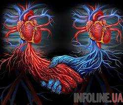 Два сердца - это новый этап эволюции человечества