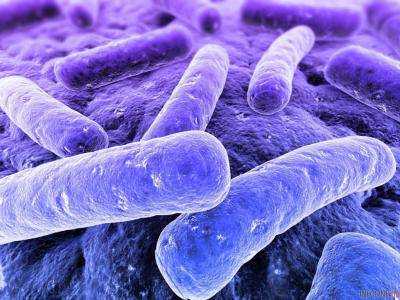 Эра "после антибиотиков": ВОЗ назвала самые опасные для человека бактерии
