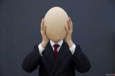 Кандидату в президенты Франции попали яйцом в голову