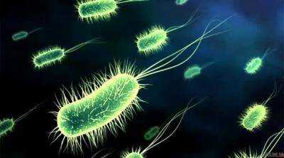 В Канаде ученые обнаружили следы бактерий, которым более 3,5 млрд лет