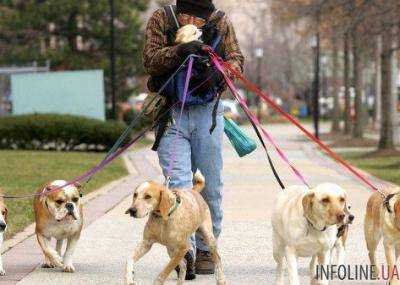Что грозит тем, кто выгуливает собак в общественных местах Днепра?