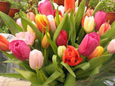 Во сколько обойдется букет цветов на 8 марта в разных городах Украины