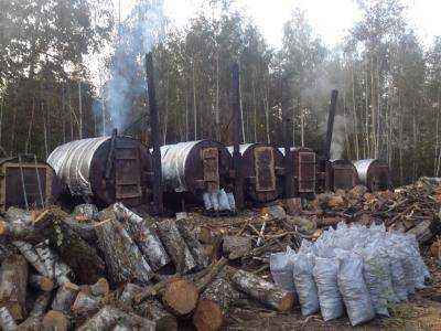 В Житомирской области сотрудники СБУ выявили подпольный цех по производству древесного угля