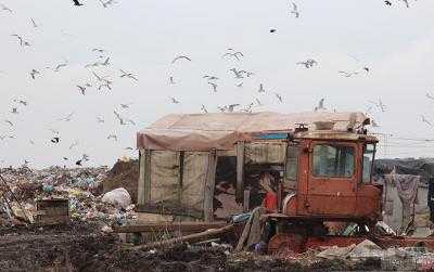 Нардеп: Львовский мусор нашли в Одесской области